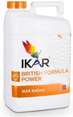 Икар Калисто