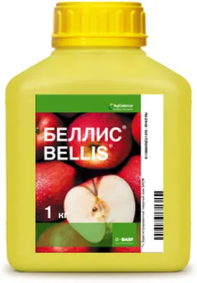 Беллис комбинированный системно-контактный фунгицид
