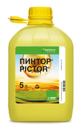 Пиктор Фунгицид