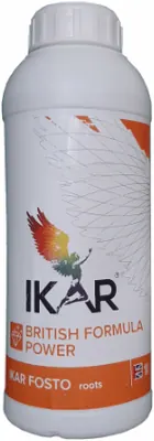 Икар Фосто Рутс