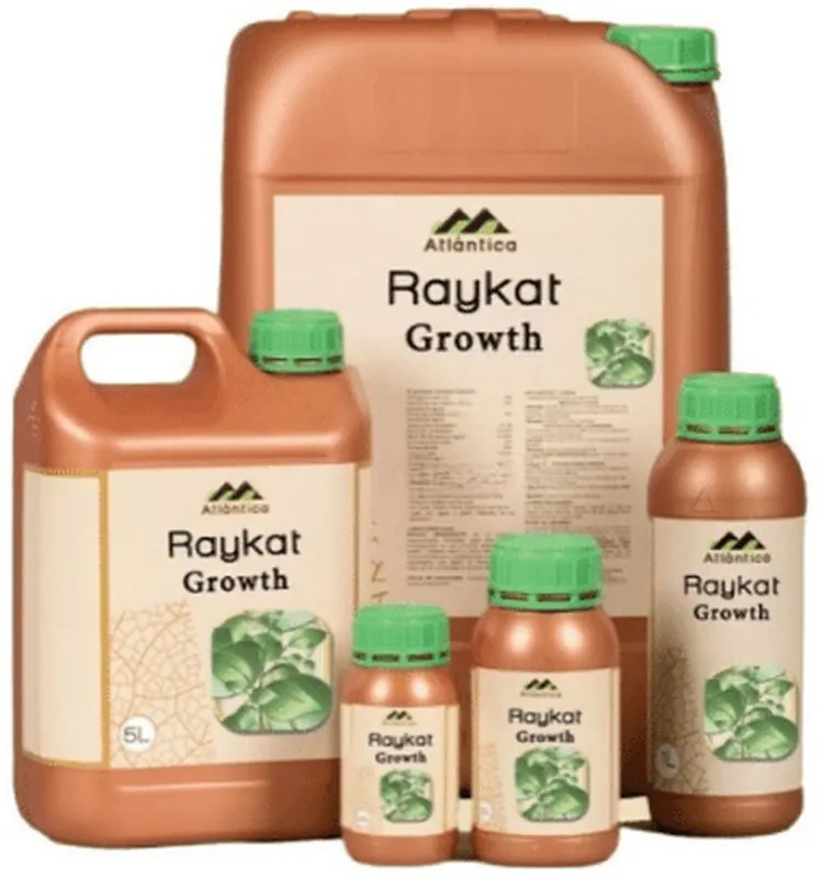Райкат Развитие
