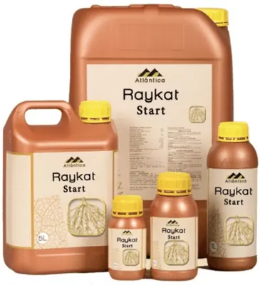Райкат Старт
