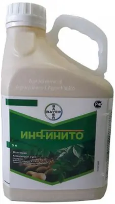Инфинито системный фунгицид от всех форм фитофтороза