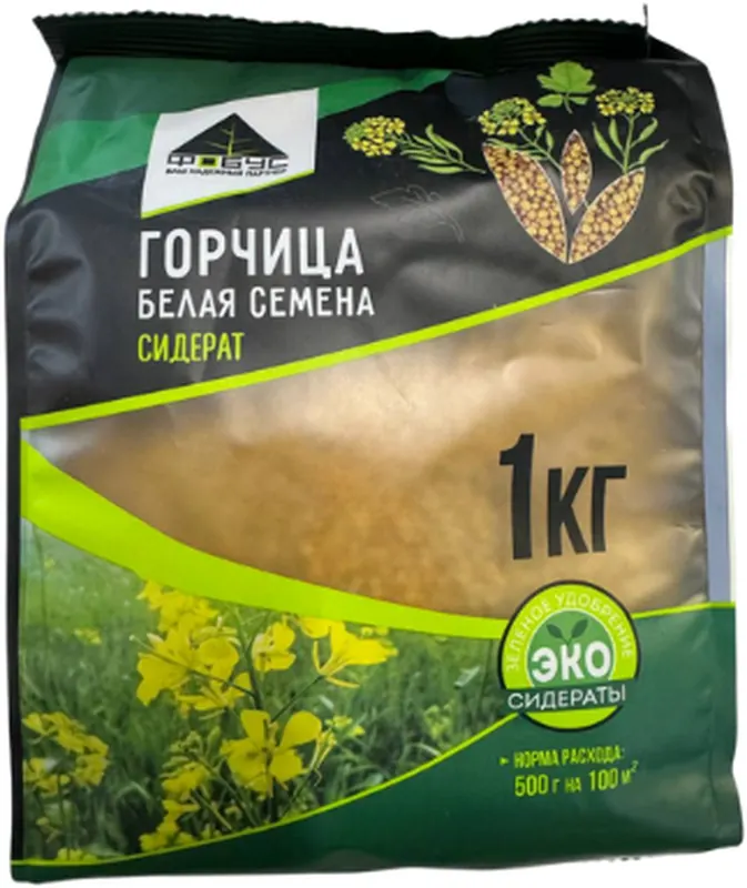 Горчица белая, сидерат