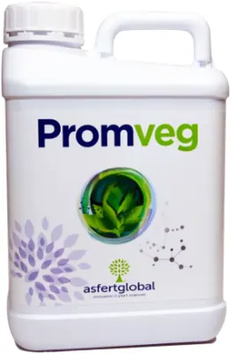 Промвег биостимулятор для усиления цветения и завязи плодов. Promveg AsfertGlobal