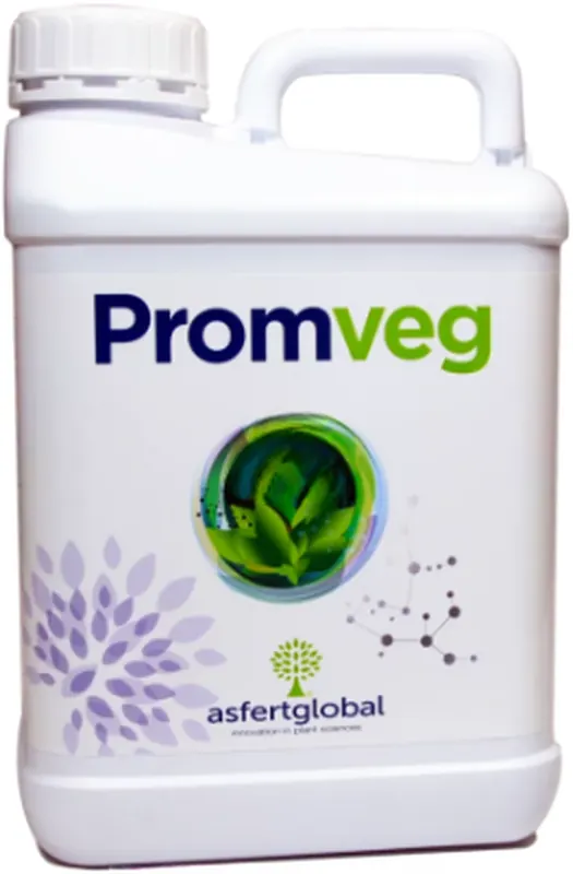Промвег биостимулятор для усиления цветения и завязи плодов. Promveg AsfertGlobal
