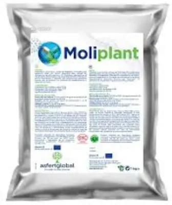 Молиплант. Moliplant AsfertGlobal
