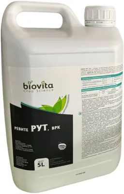 Ревите Рут